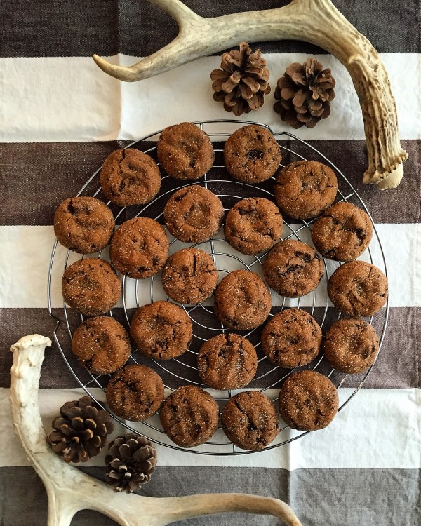 chewy gingerbread chocolate cookies