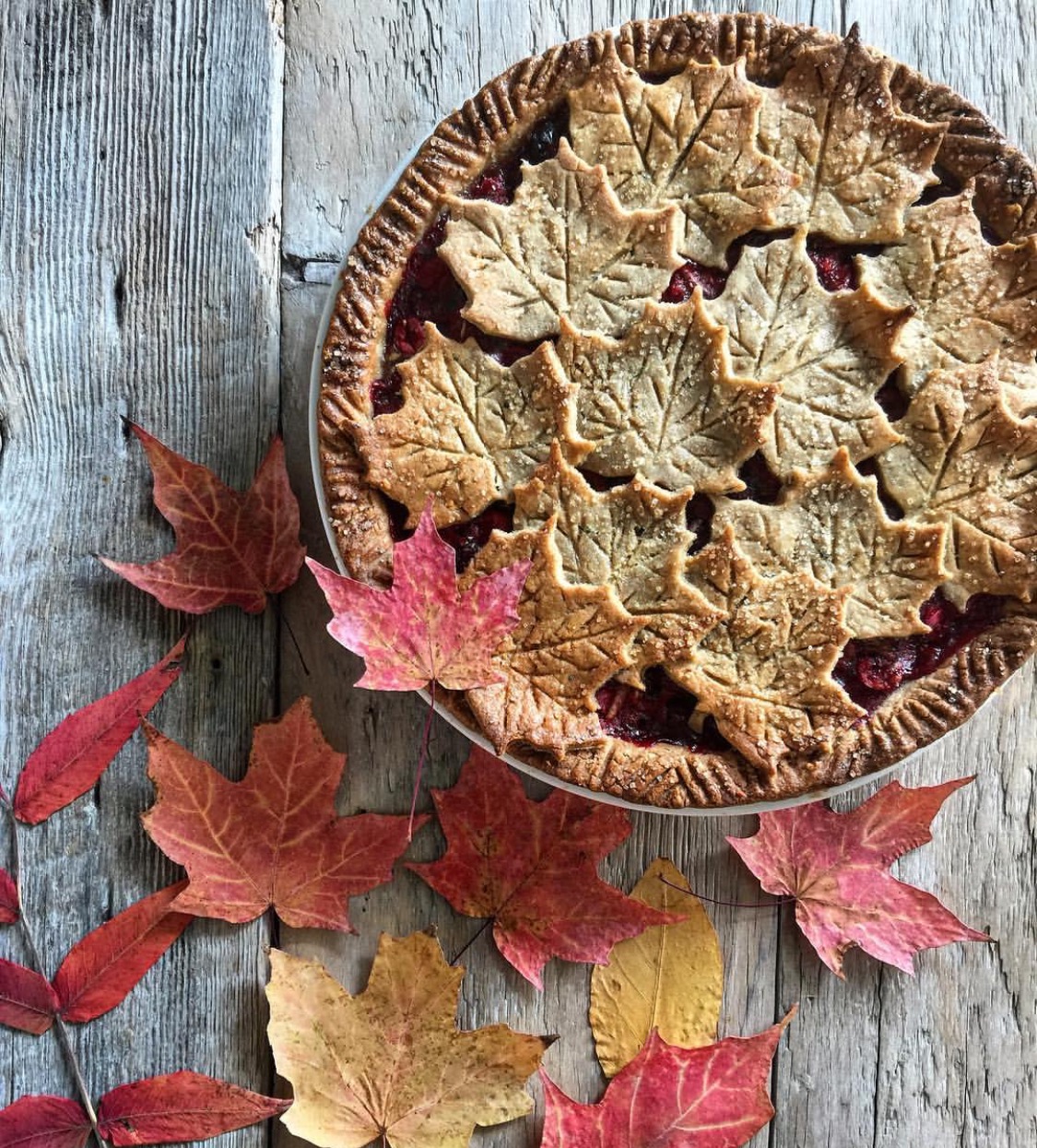 cranberry sage pie