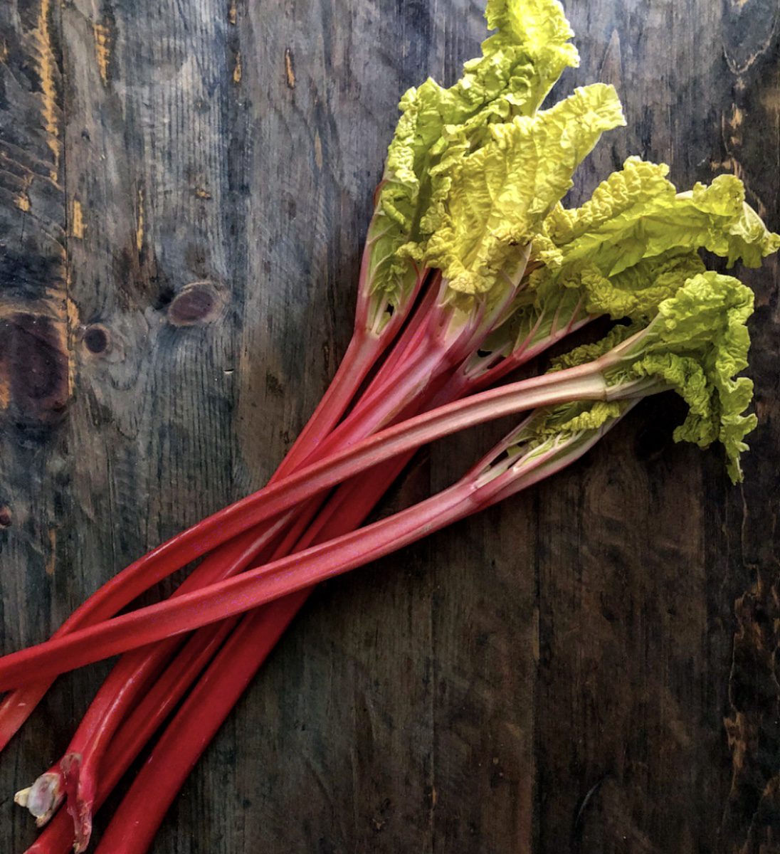 Celebrate Springtime with Rhubarb!