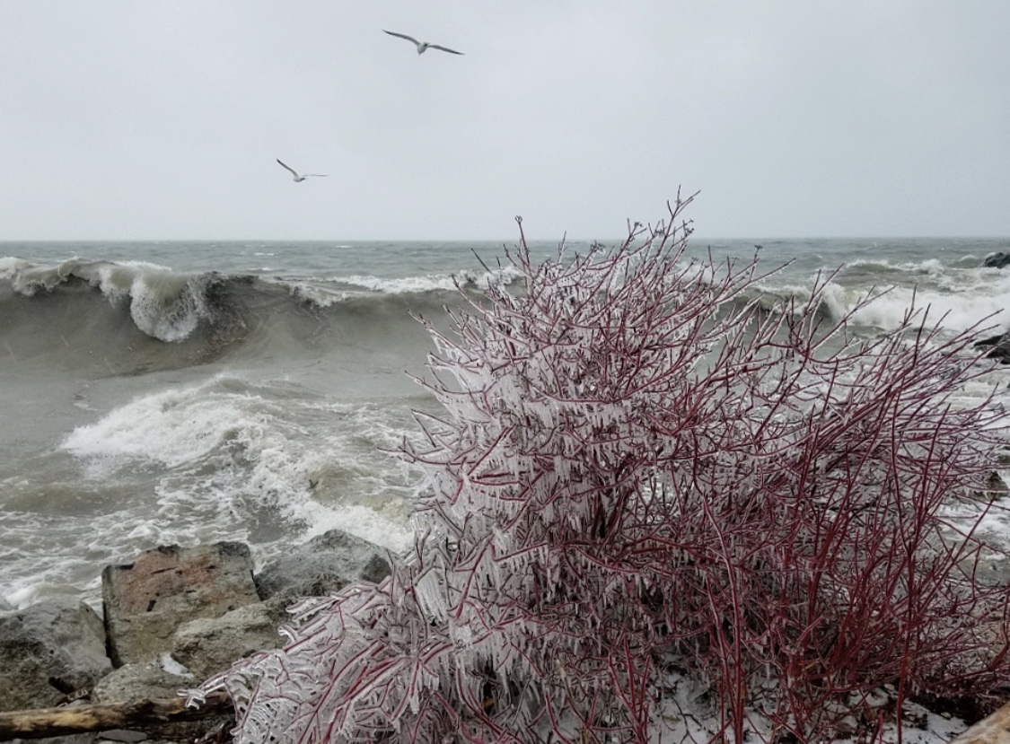 Toronto Ice Storm 2018