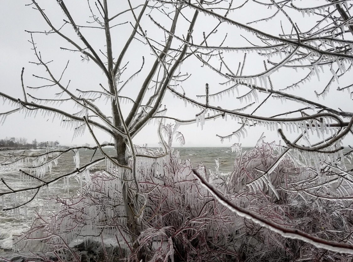 Toronto Ice Storm 2018