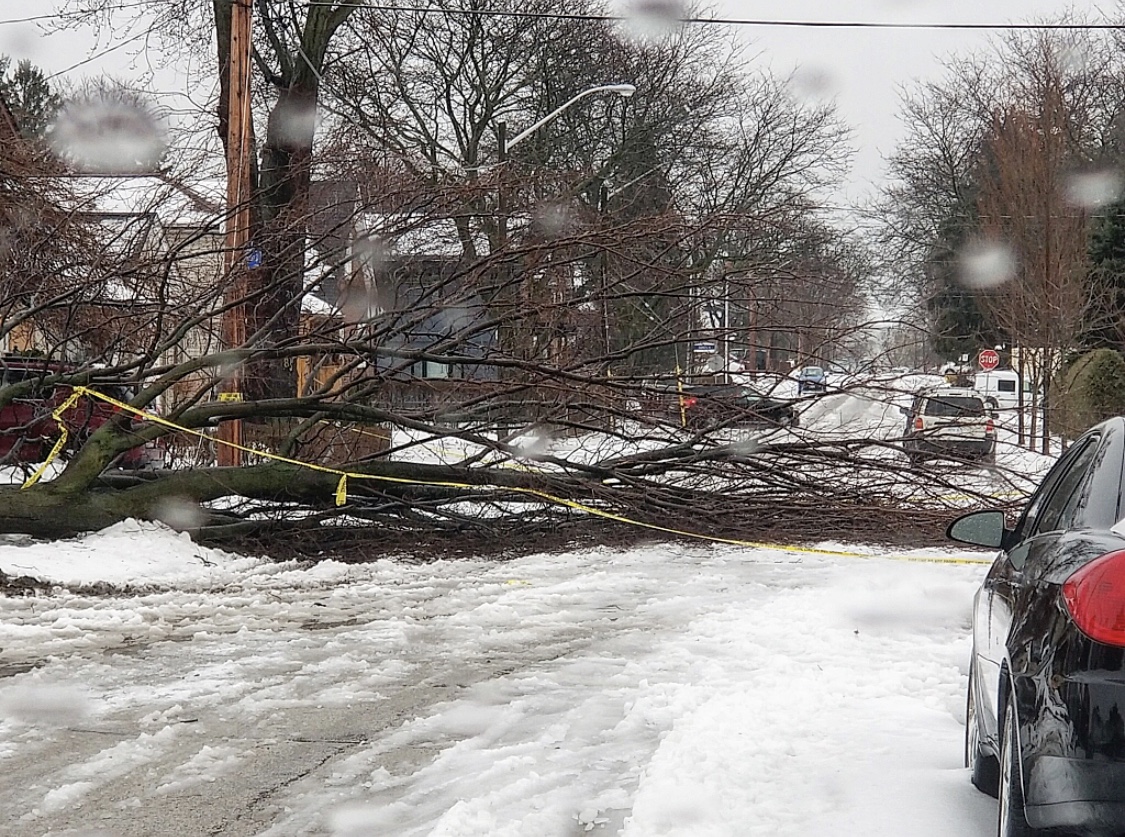 Toronto Ice Storm 2018