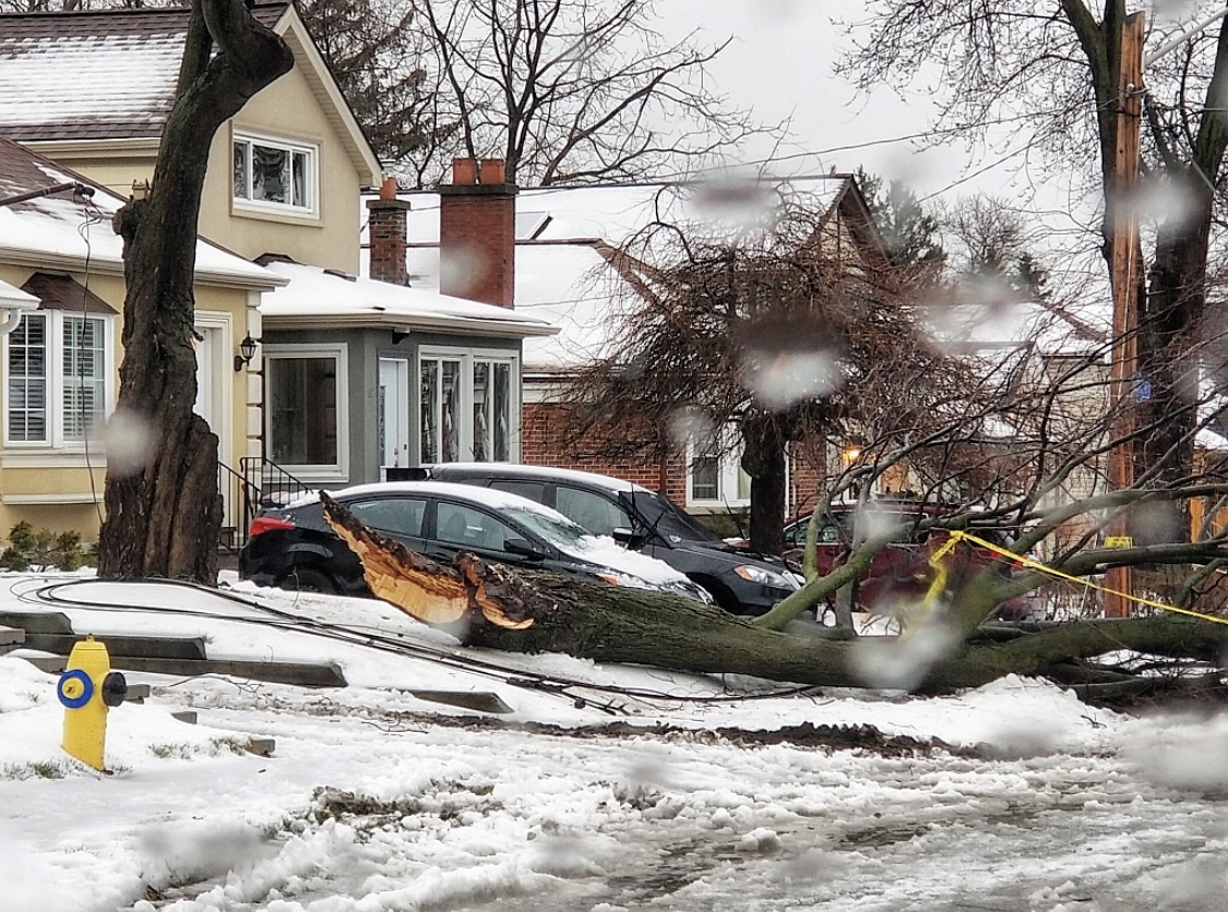 Toronto Ice Storm 2018