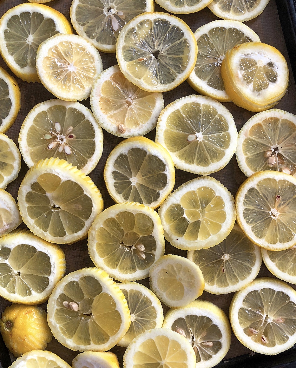 Freezing Lemon Slices