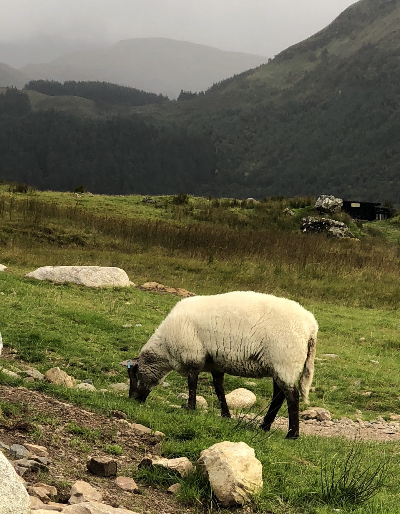 Scotland, Ben Nevis