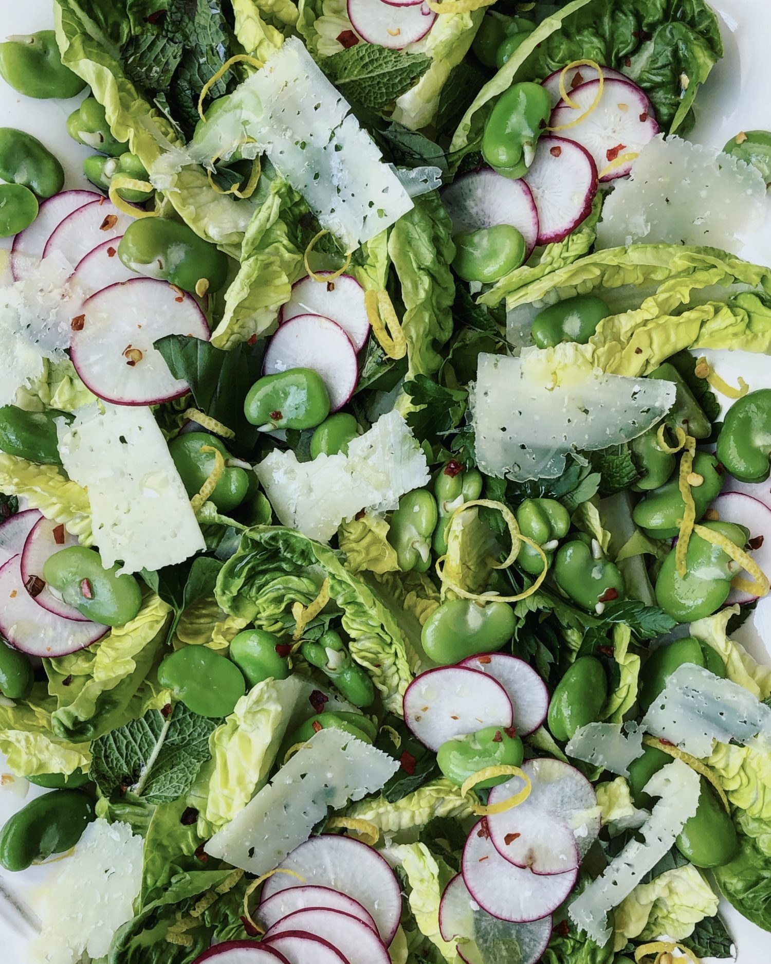 Fava Bean, Mint and Manchego Salad