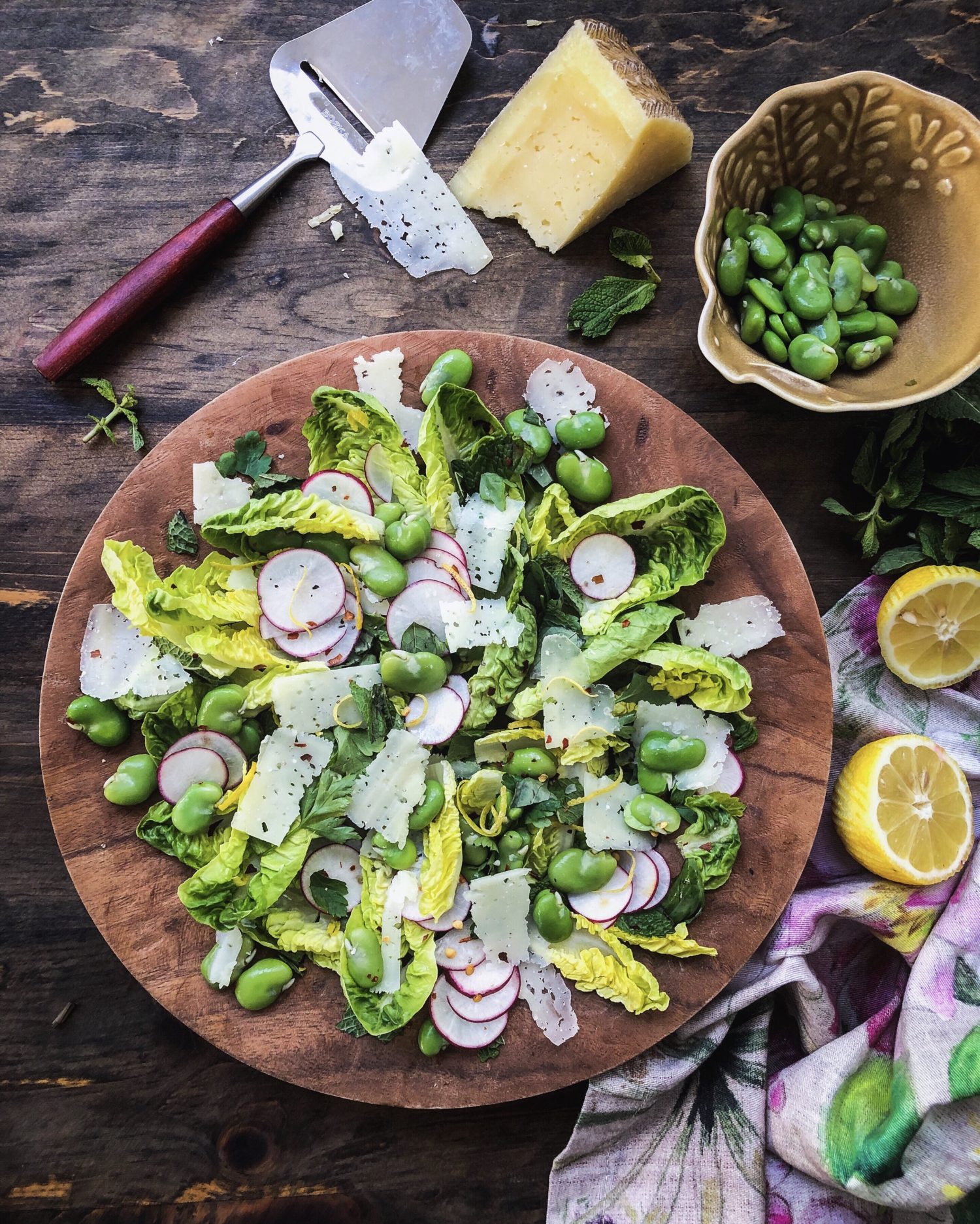 https://www.thelemonapron.com/wp-content/uploads/2019/05/Fava-bean-and-mint-salad-2-e1558551249826.jpg