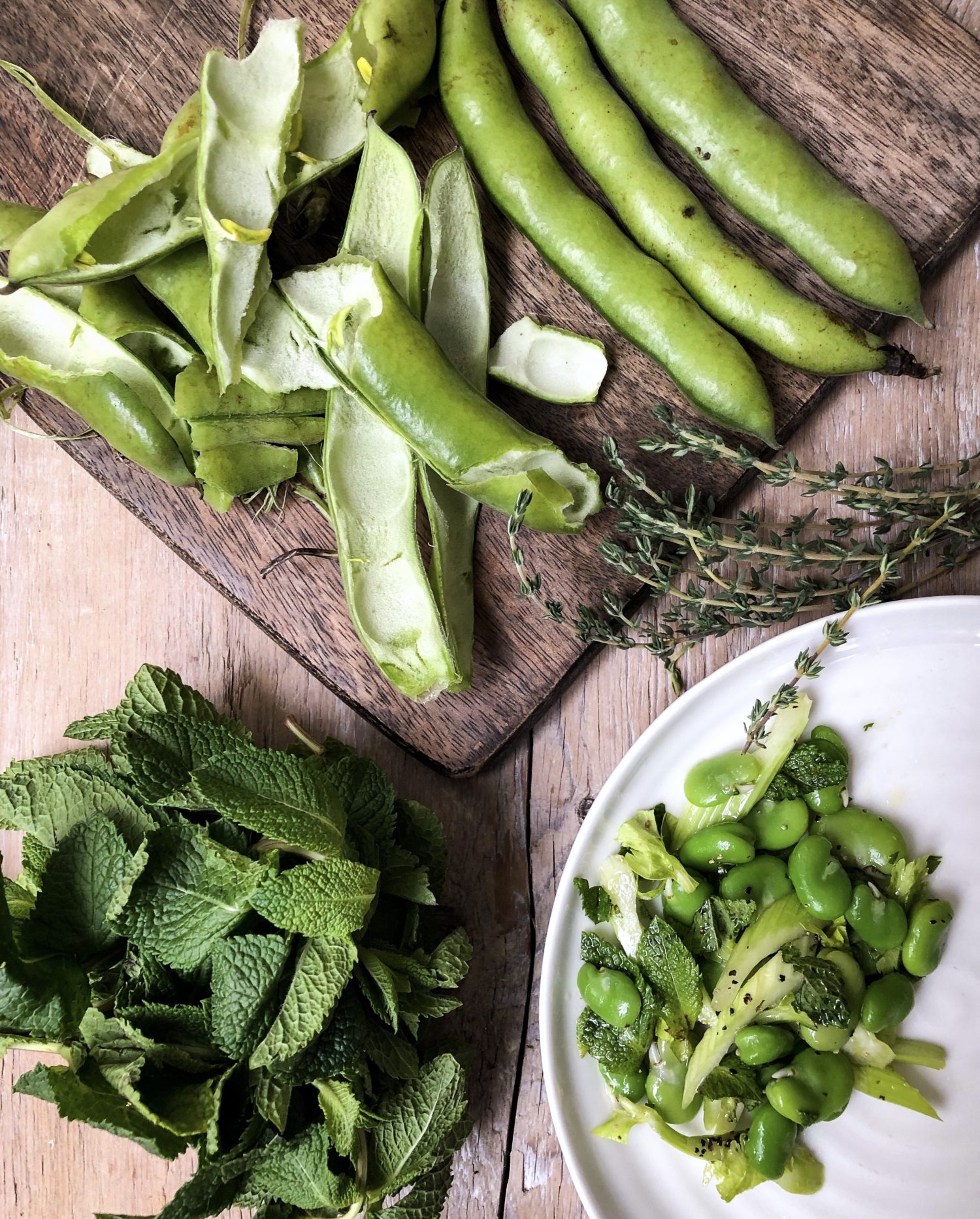 Fava Bean Salad with mint and celery