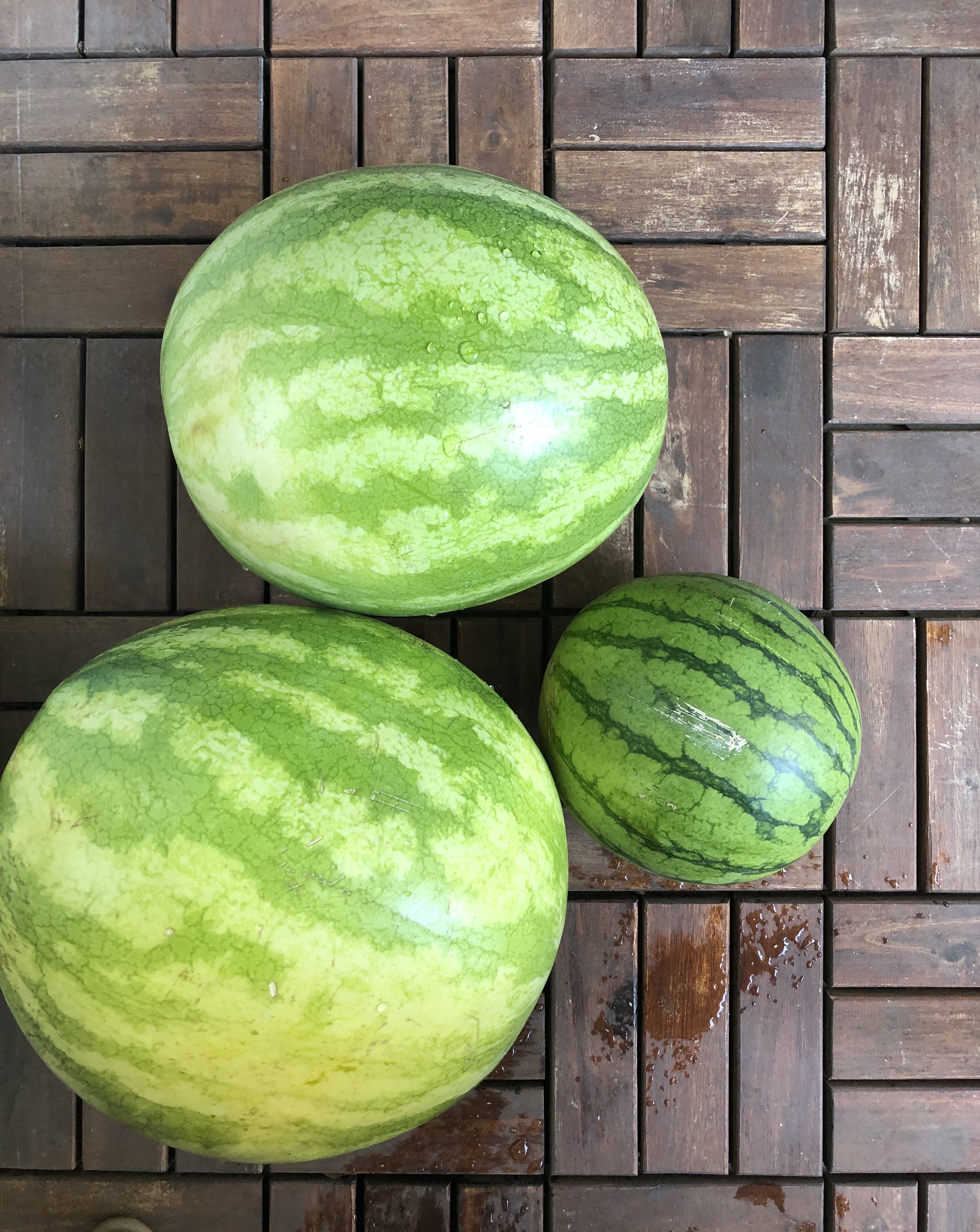 Watermelons