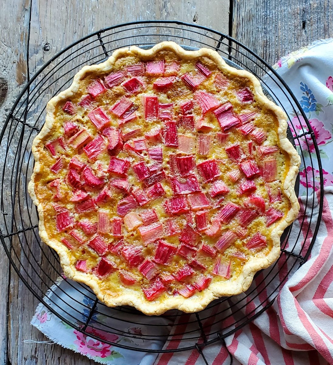 Rhubarb Vanilla Custard Pie