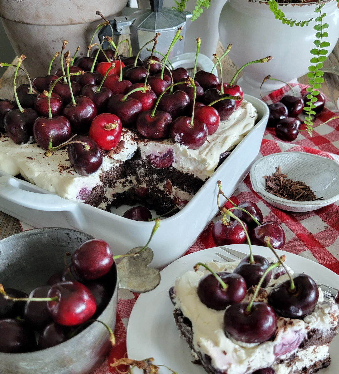 Side view into a pan of Black Forest Tiramisu showing the chocolate and cherry layers, with a slice on a small plate in the foreground. Fresh sherries and green plants as well as a small espresso maker are in the background.