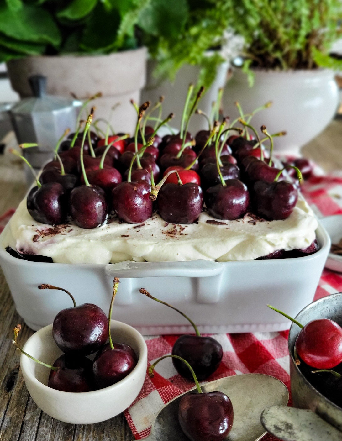 Side view of Black Forest Tiramisu, with the top layer of fresh cherries being showcased. Baking dish is surrounded by fresh cherries and is sitting on a red checkered cloth.