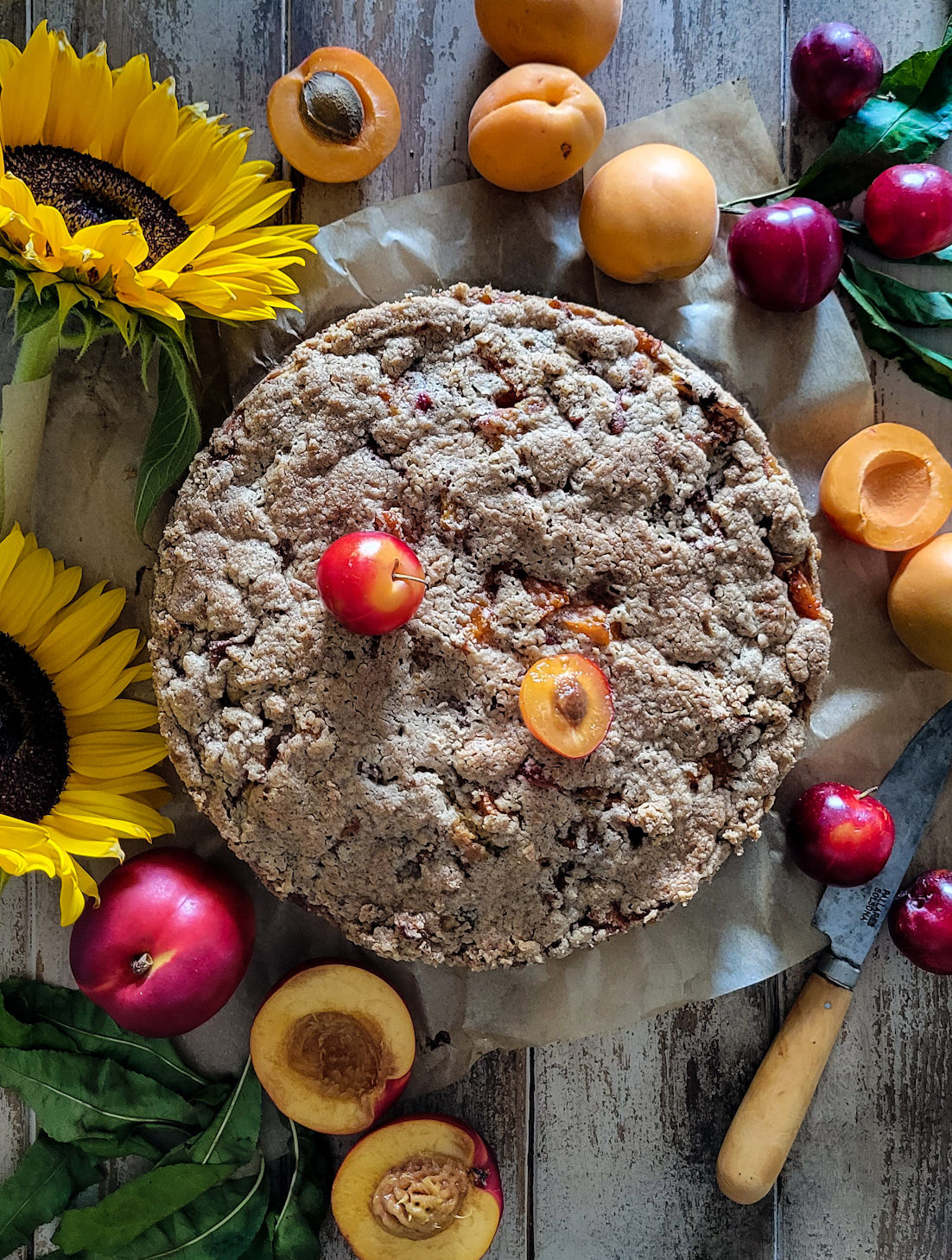 Brown Butter Stone Fruit Streusel Coffee Cake surrounded by cut apricots and nectarines, and sunflowers