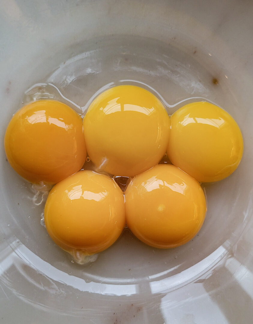 A bowl with large egg yolks in it, showing that they may not all be of the same size.