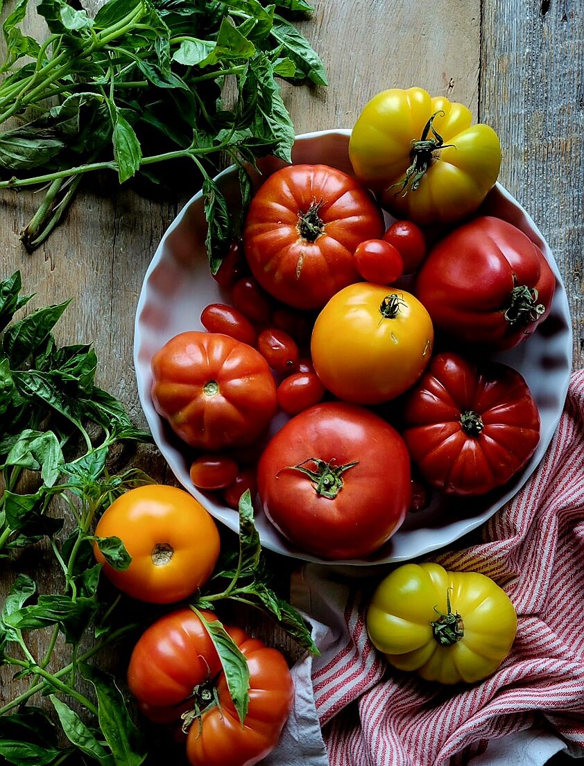 Fresh tomatoes from the garden, along with fresh basil strewn about.